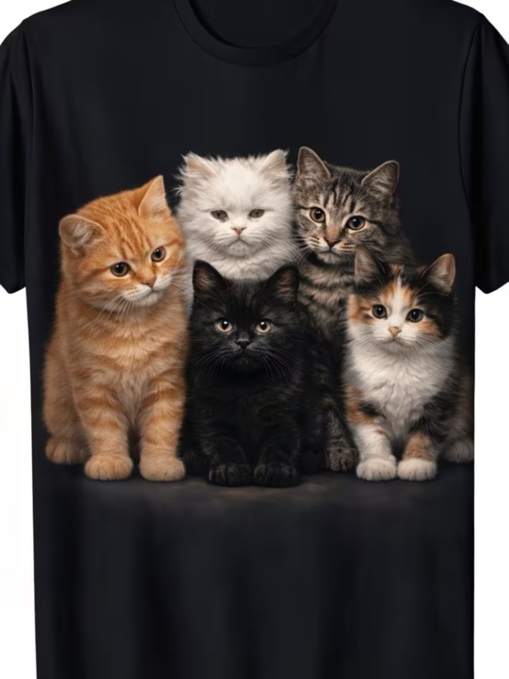 Five Kittens Black Graphic T-Shirt XXXL 3X Cat Lover Tee